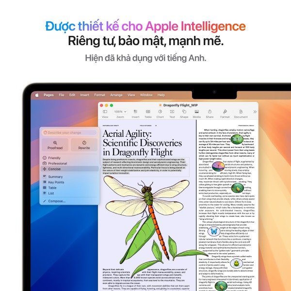 MacBook Air M4 13 inch 8GPU 10CPU 16GB 256GB - Chính Hãng VN - Ảnh 6