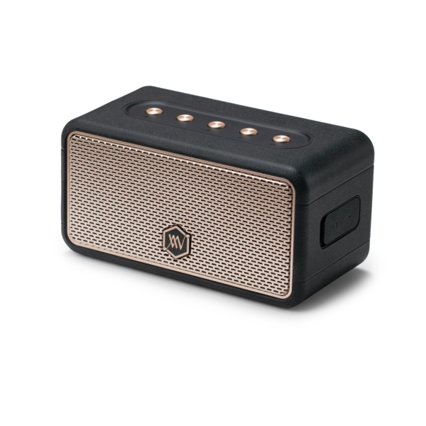 Loa Bluetooth Alpha Works AW-W39 - Ảnh 6